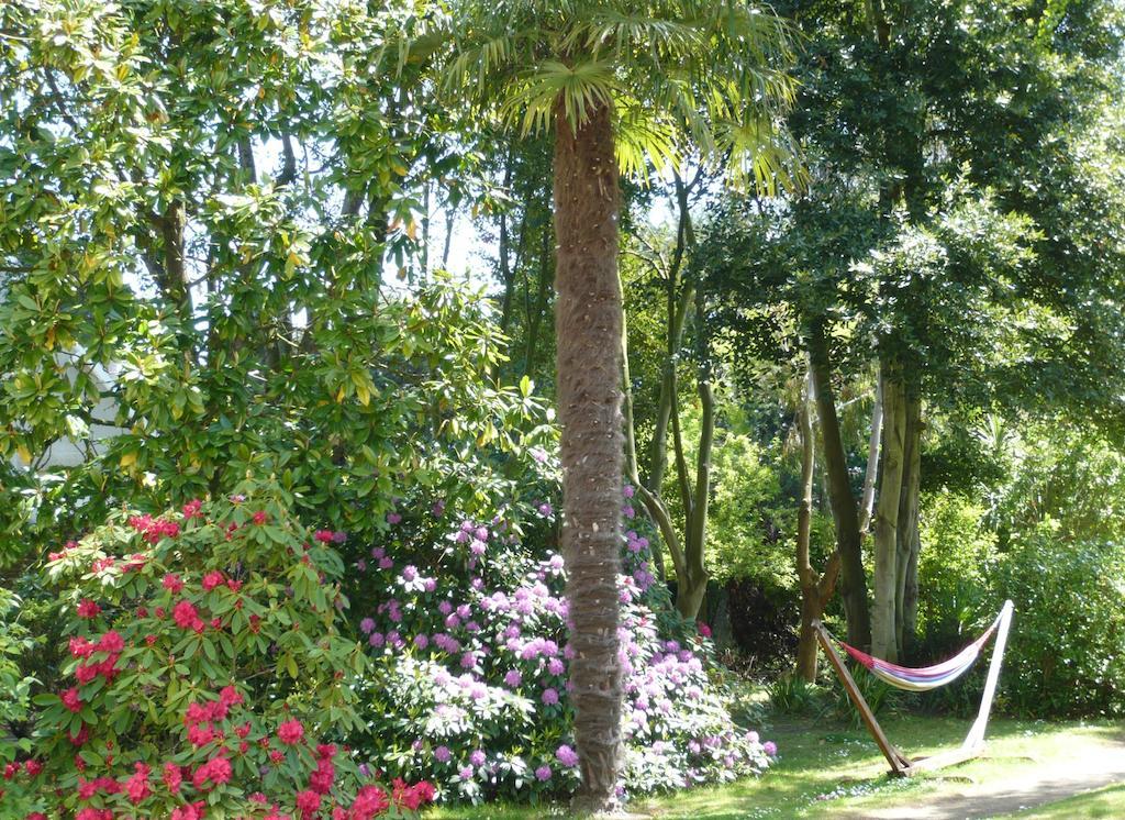 Bed & Breakfast Raphael 3*